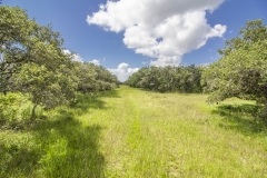 Foster Rd Ranch Wooded Area