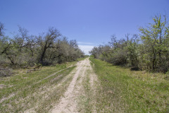 Refugio-113