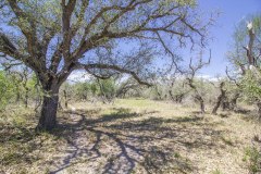Refugio-128
