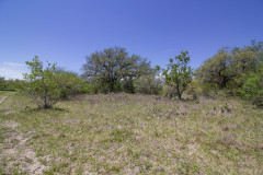 Refugio-130