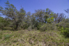 Refugio-133