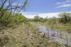Refugio-140