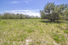 Refugio-142