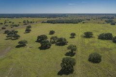 DJI_0013