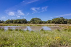 IMG_5803