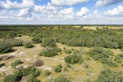 DJI_0014