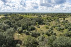 DJI_0023