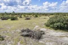 DJI_0033
