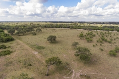 open area