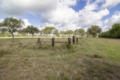 pasture 3