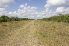 road