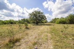 sendero 2