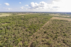 wooded aerial