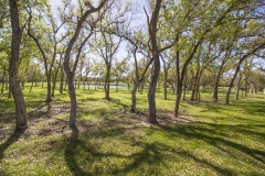 oaks