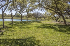 pond view