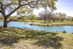 pond view 2