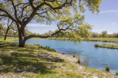 pond 1