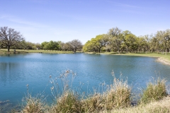 pond