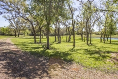 oaks