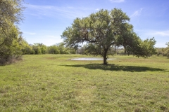 pasture