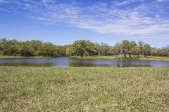 back pond