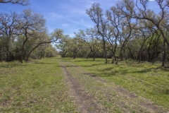 trails 2