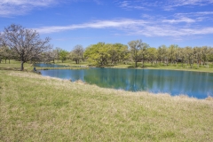 pond pan1