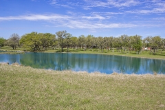pond pan 2