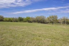 pasture