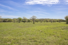 pasture