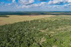 1_DJI_0015