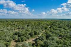 DJI_0009-2