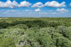 DJI_0019
