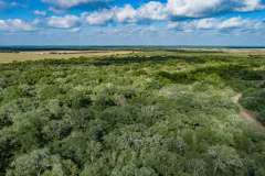 DJI_0030