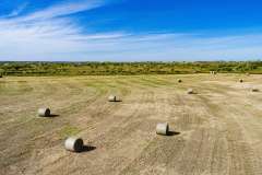 DJI_0041