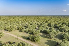 DJI_0001