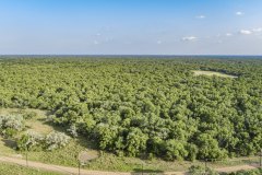 DJI_0003