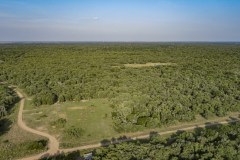 DJI_0007