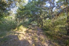 IMG_8416