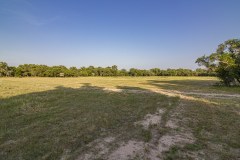IMG_8440