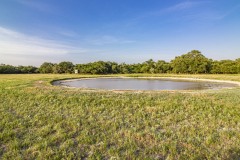 IMG_8446