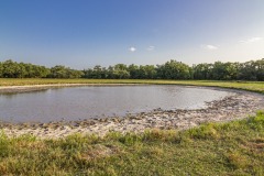 IMG_8451