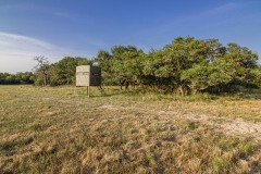IMG_8453