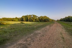 IMG_8488