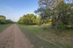IMG_8492