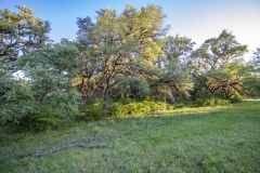 Coleto Lake 21 Wooded Areas 3