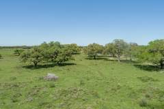 DJI_0026