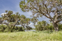 1_Coleto-Lake-View