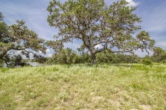 Coleto-Lake-Oaks-View
