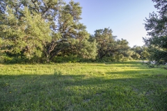Coleto-Lake-Wooded-Areas-2